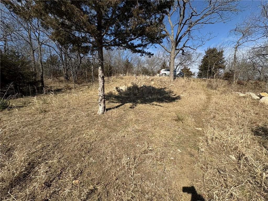 Listing Photo MLS #HMS2630889