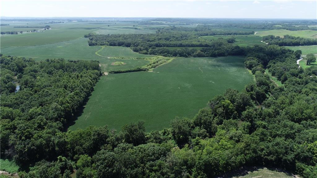 Listing Photo MLS #HMS2631134