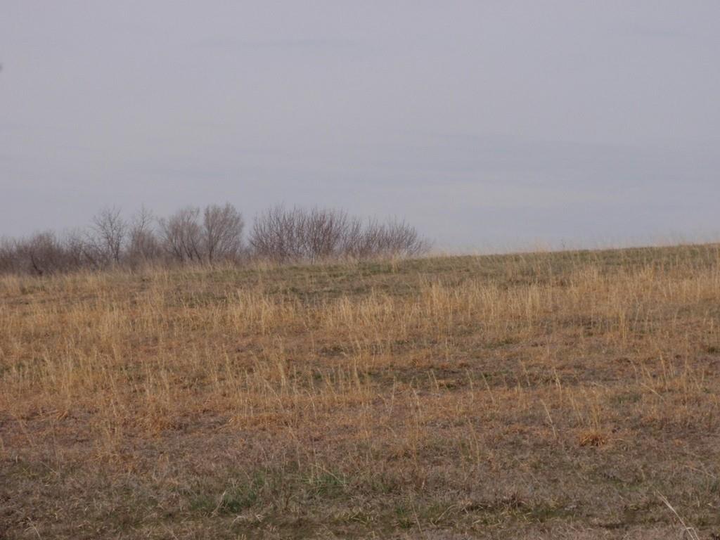 Listing Photo MLS #HMS2632962