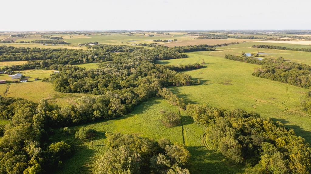 Listing Photo MLS #HMS2634378
