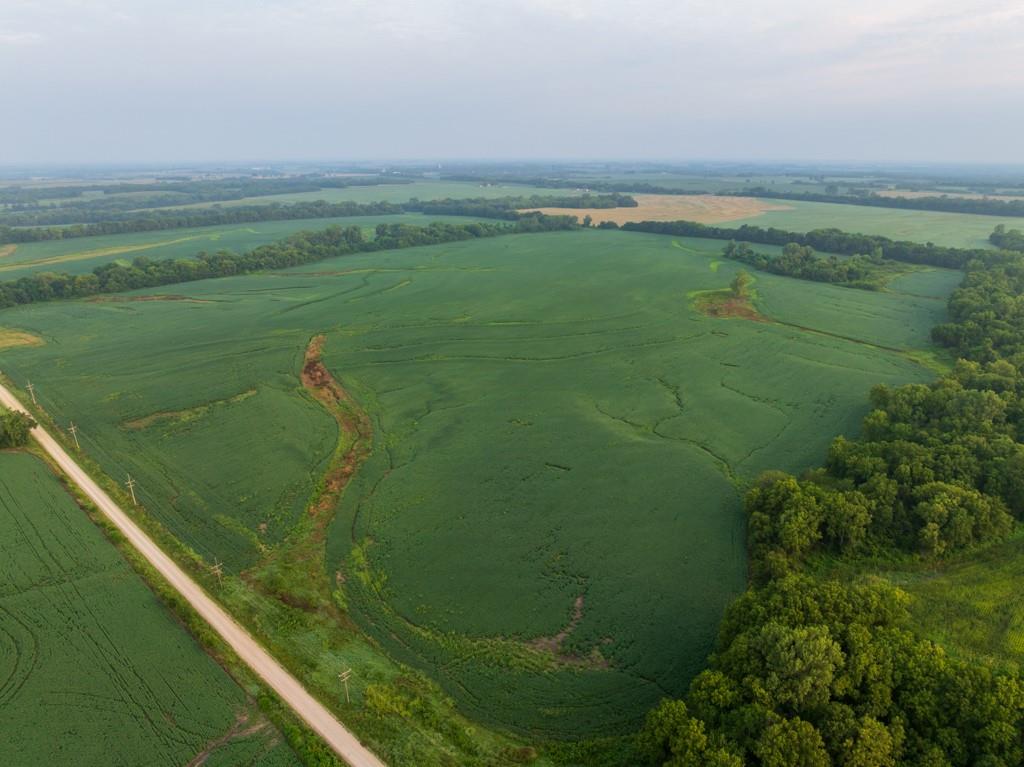 Listing Photo MLS #HMS2635638