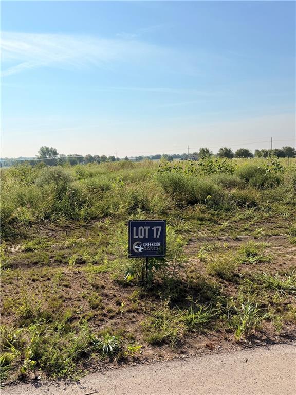 Listing Photo MLS #HMS2638862