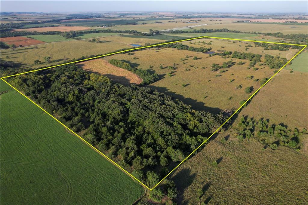 Listing Photo MLS #HMS2640658