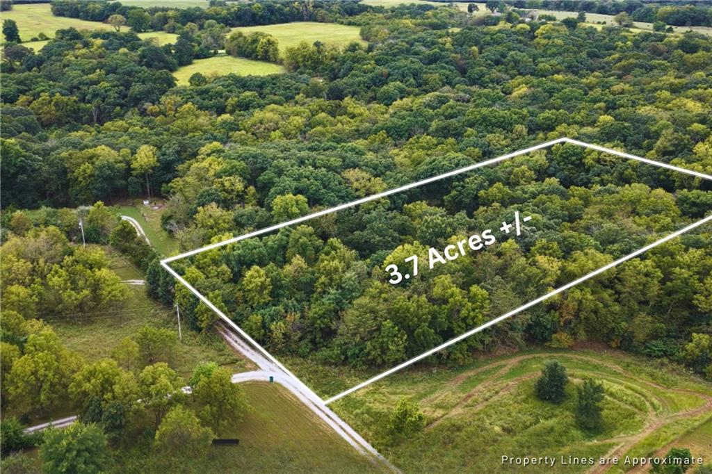 Listing Photo MLS #HMS2643450