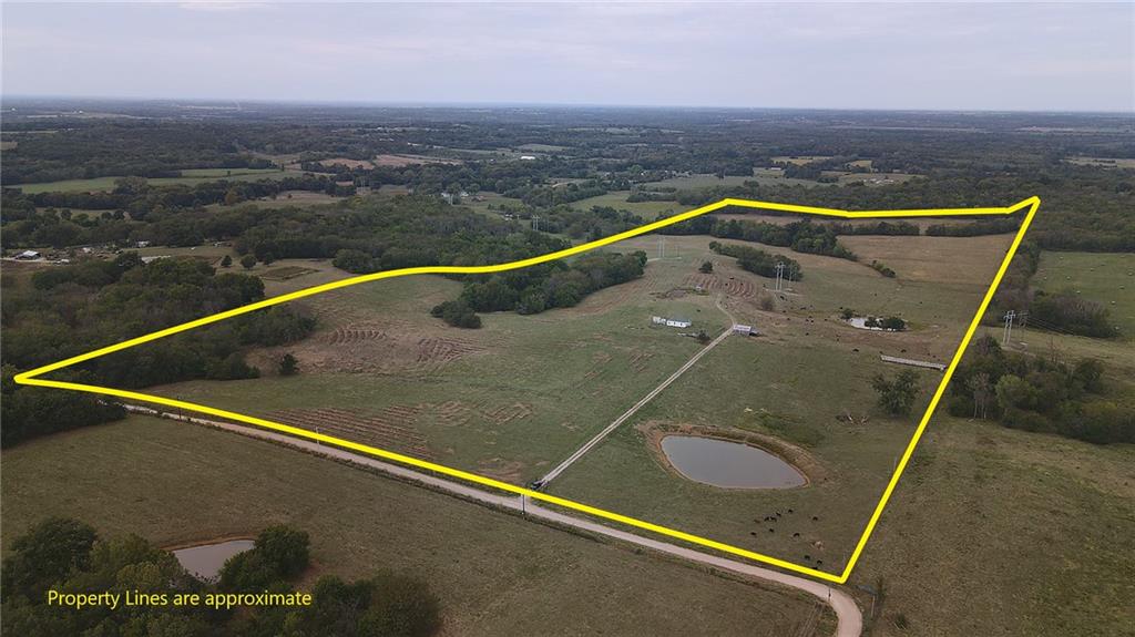 Listing Photo MLS #HMS2645180