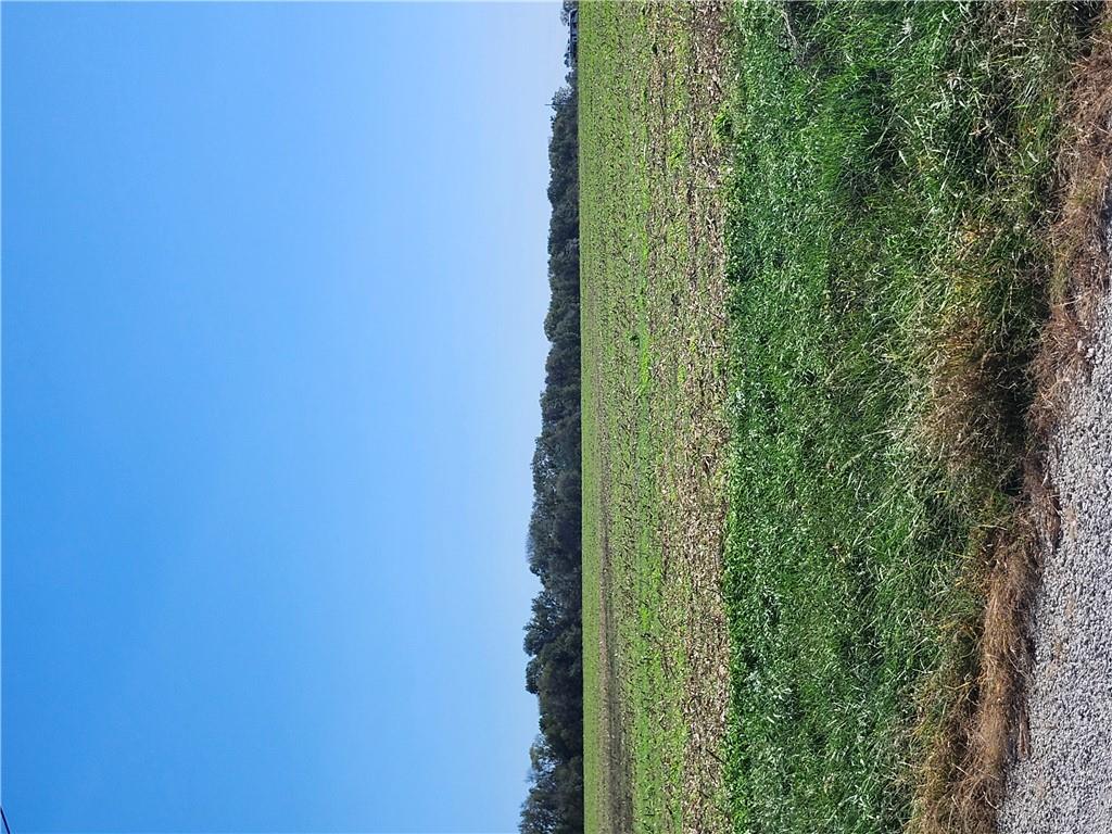 Listing Photo MLS #HMS2646790