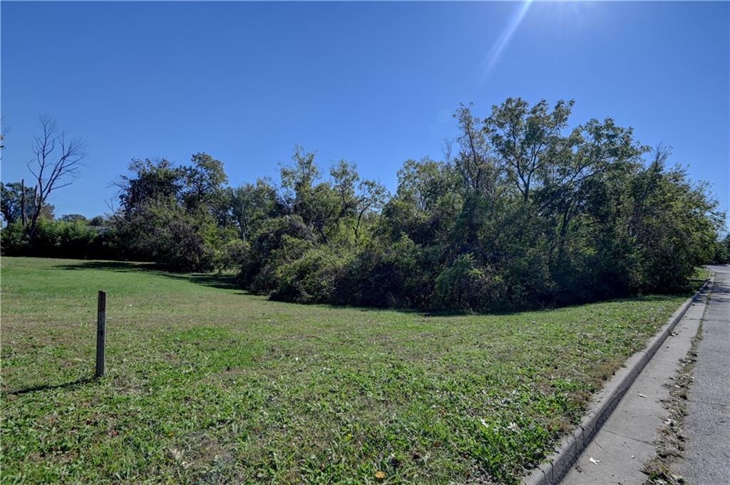 Listing Photo MLS #HMS2646842