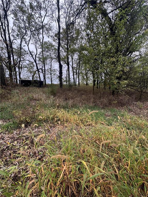 Listing Photo MLS #HMS2648000