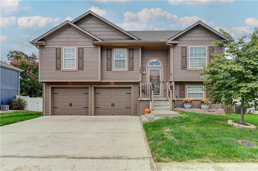 Listing Photo MLS #HMS2649368